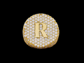 Personalized Yellow Gold Plated Moissanite Diamond - 925 Sterling Silver Hip Hop Custom Name Ring for Rapper